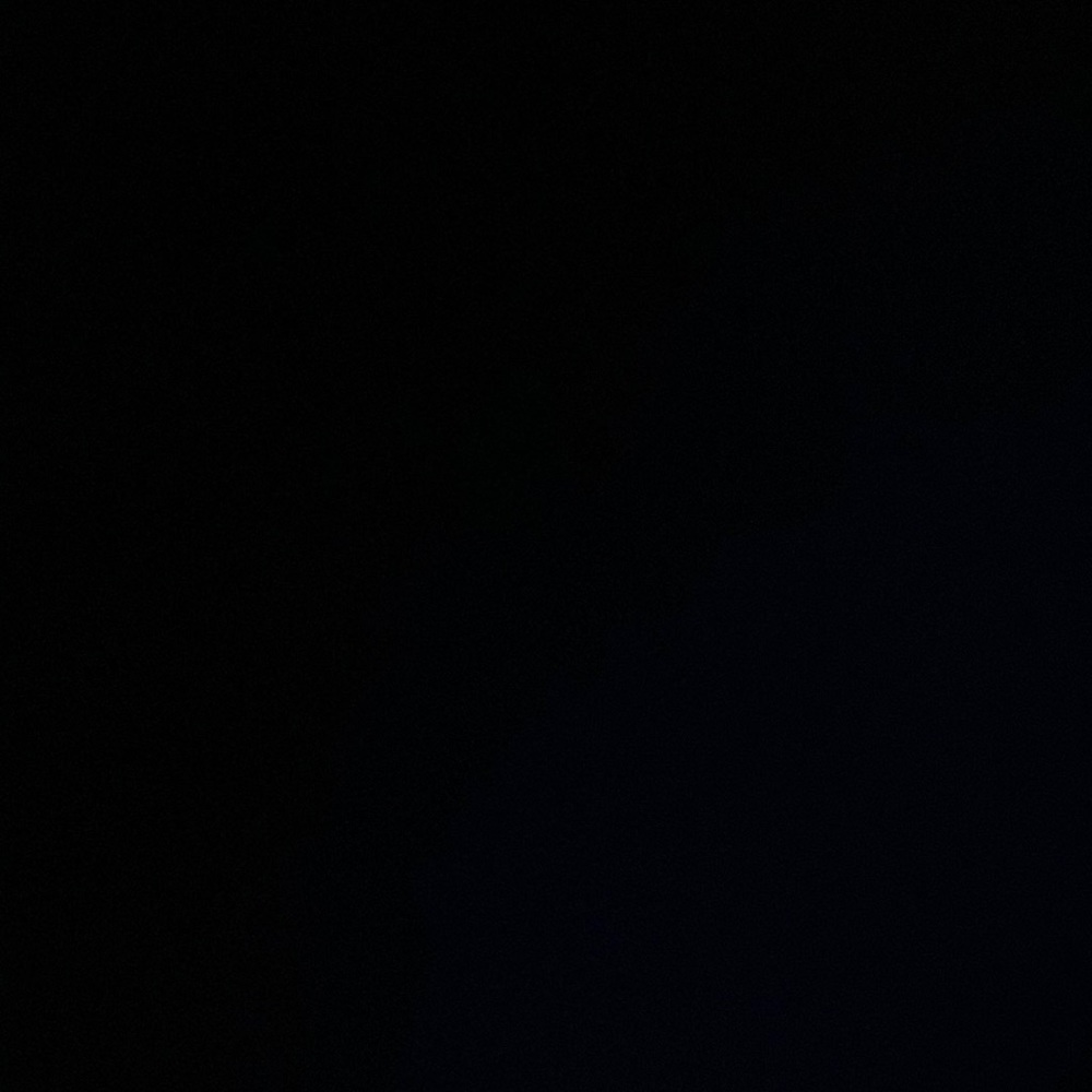 IGNORE